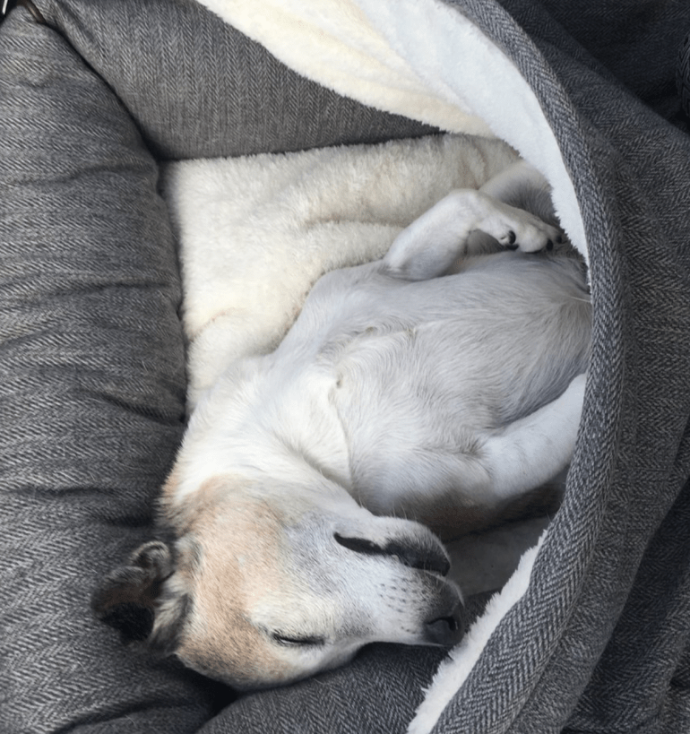 Screen Shot 2019-08-19 at 6.04.34 PM