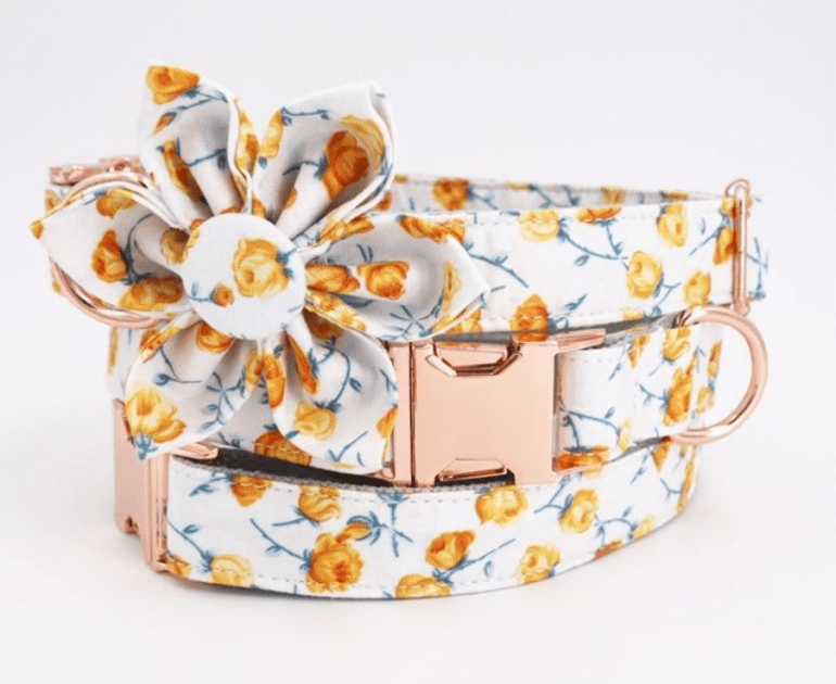 Screen Shot 2019-08-22 at 7.04.56 PM