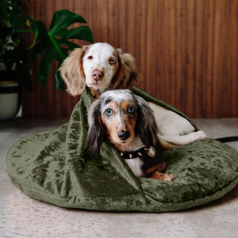 Nice-Digs_Velvet-Snuggle-Dog-Bed_Evergreen_02_1000x.jpg