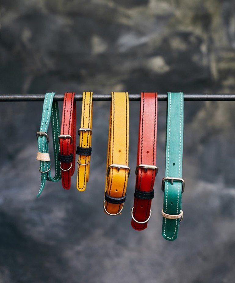 Benji-Moon-Dog-products-10