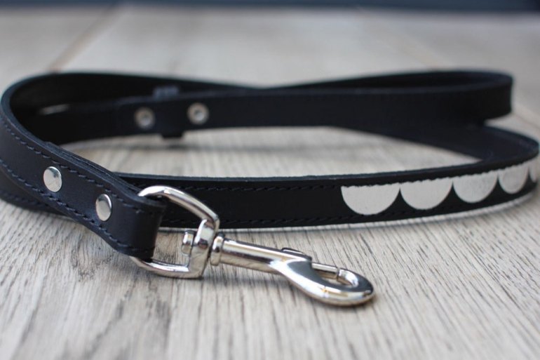 Benji-Moon-Dog-products-5