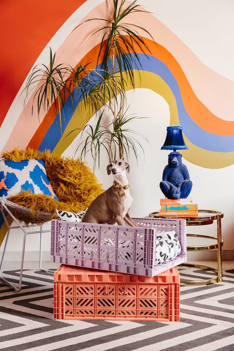 Nice-Digs_Printed-Crate-Dog-Bed_Ziggy-Orchid_03