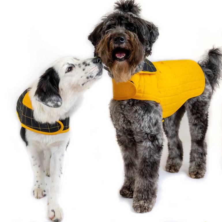 Paco-Lucia-Dog-Coats-2m