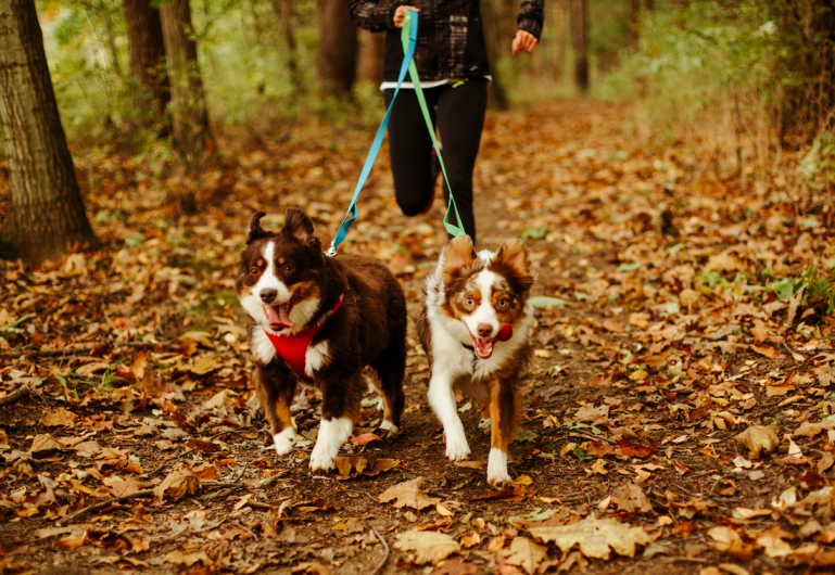 screen-shot-2019-10-21-at-3-45-43-pm_orig