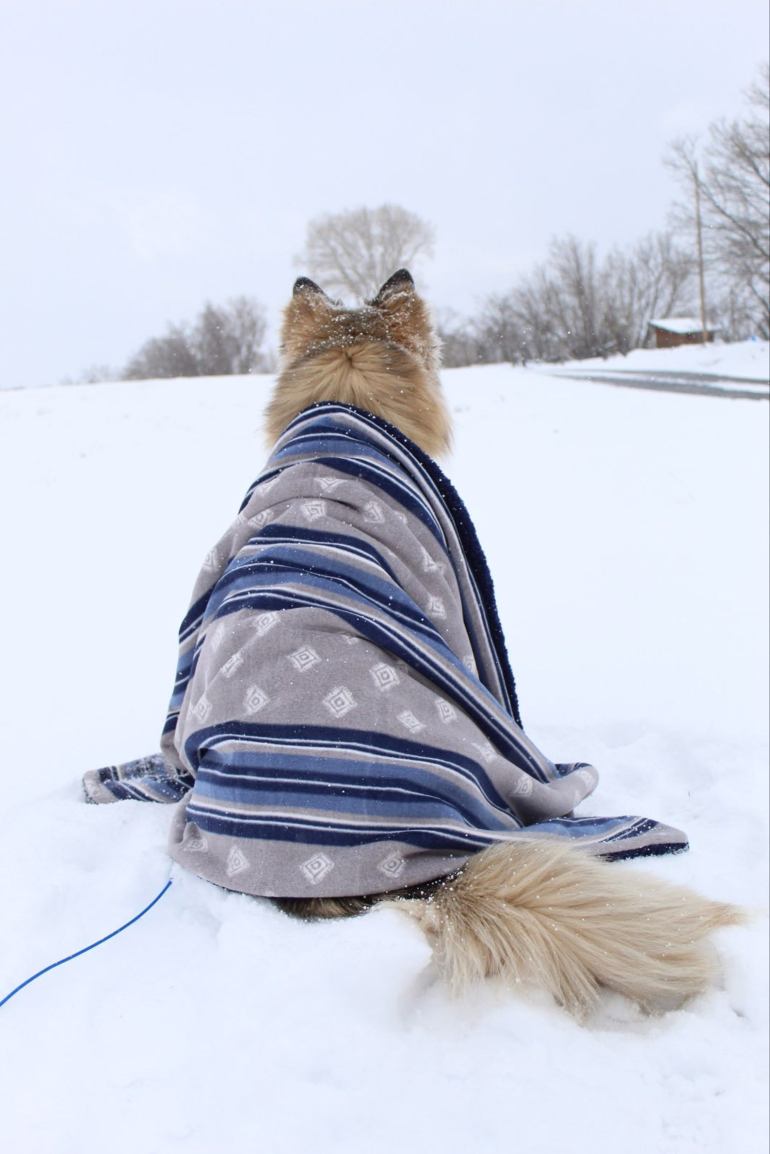 il_1588xN.1799688136_f81n